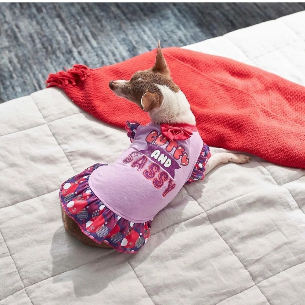 Cute and Sassy Dog or Cat Dress